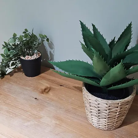 Hostel Beautiful On The Joseph Boulevard